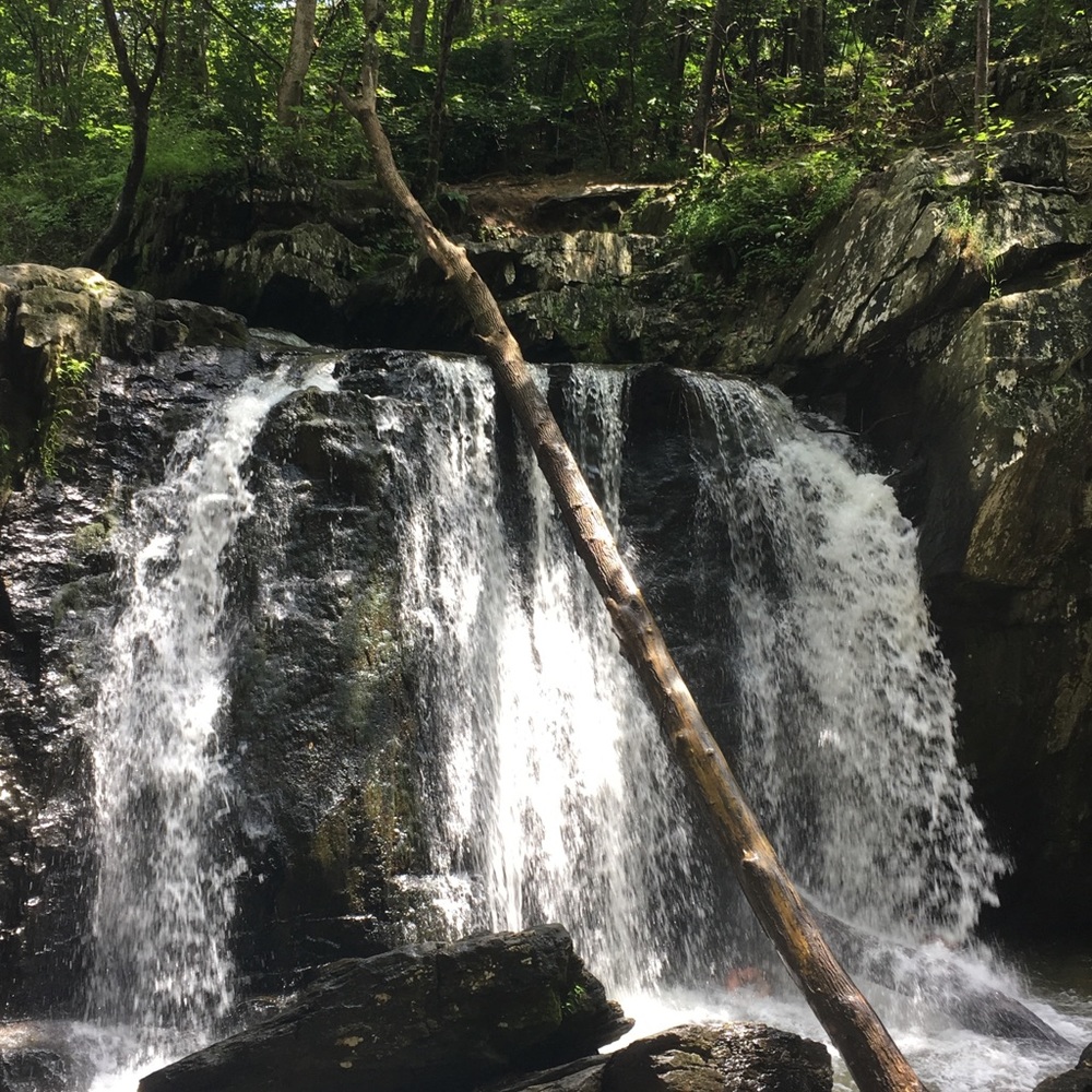 Meet your Posher, Portia